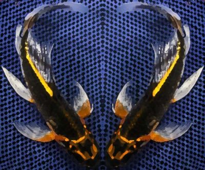 Two Kujaku Koi forming a Heart|Armor Scaled Kikokuryu|Chagoi|Ghost koi|Ki Bekko|Kin Kikokuryu|Kohaku|Kumonryu|Midorigoi|Platinum Ogon|Showa|Showa|Shusui