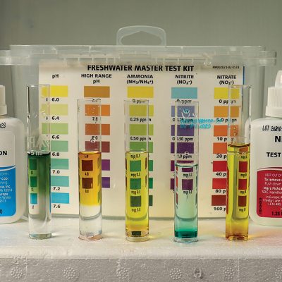 Water Test Kit