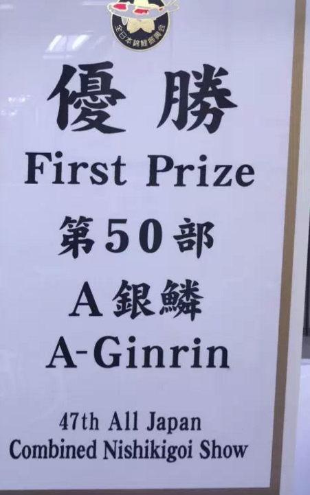 Prize placard from the AJKS|2016 All Japan Koi Show Grand Champion Kohaku|AJKS 2016 Poster|10.5” Armor Scaled Kujaku|8” Lemon Hariwake|13” Shusui|2016 AJKS Grand Champion