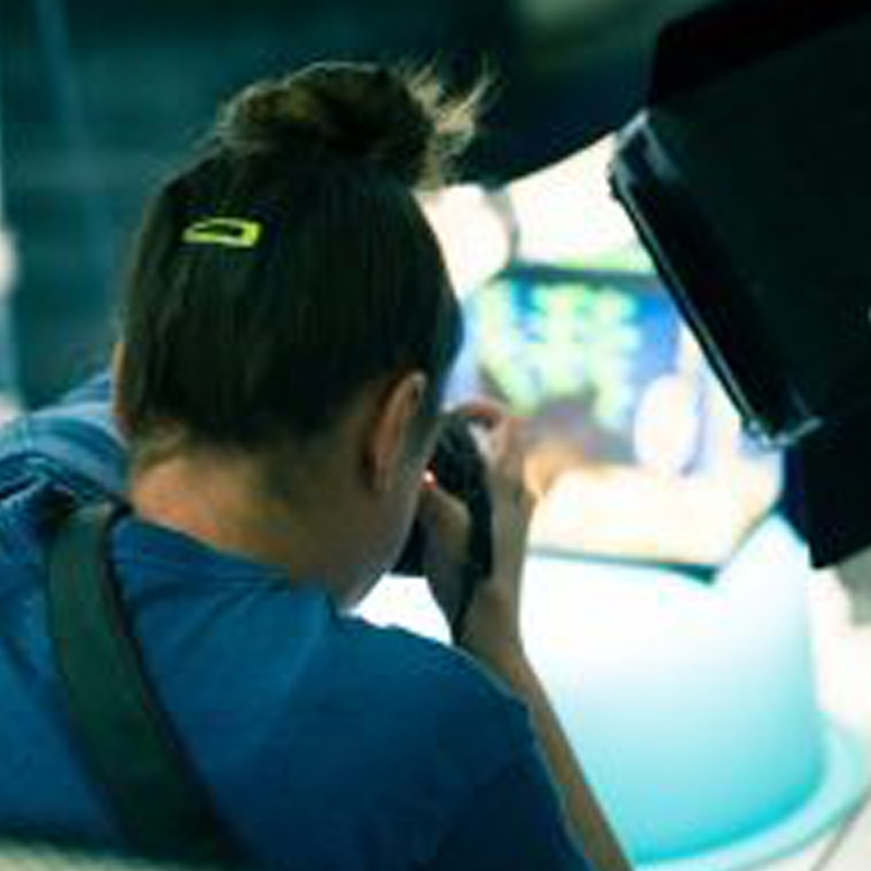 |Koi Being photographed